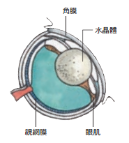 魚的感官:想釣魚!先了解魚釣魚db26f