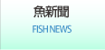 魚新聞