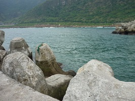 釣點消息基隆市釣魚