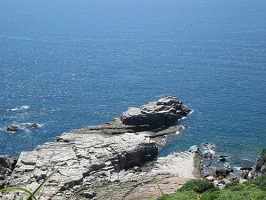 釣點消息新北市釣魚